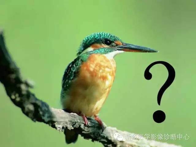 【病例】骨纤维异常增殖症1例MR影像表现