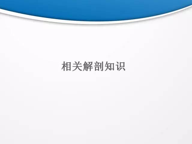 【PPT】颈部淋巴结分区