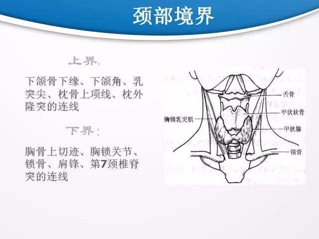 【PPT】颈部淋巴结分区