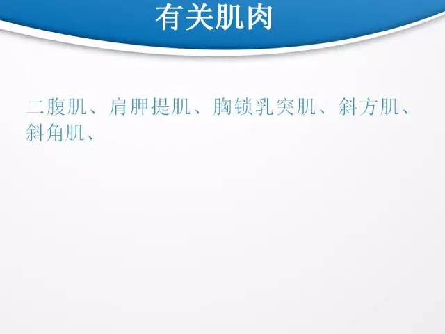 【PPT】颈部淋巴结分区