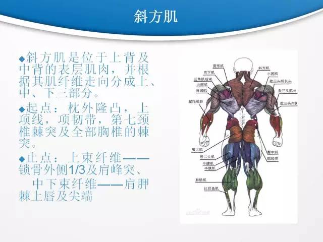 【PPT】颈部淋巴结分区