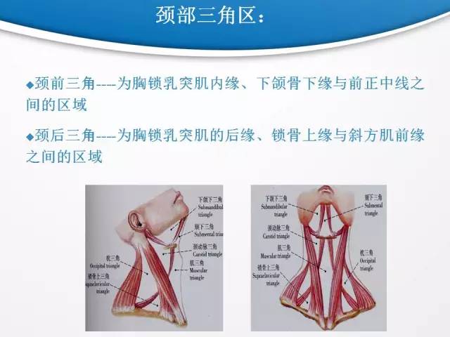 【PPT】颈部淋巴结分区