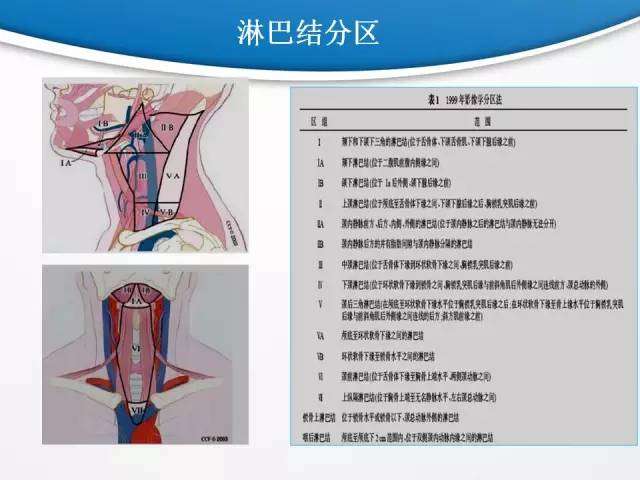 【PPT】颈部淋巴结分区