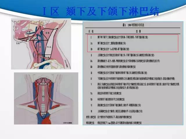 【PPT】颈部淋巴结分区
