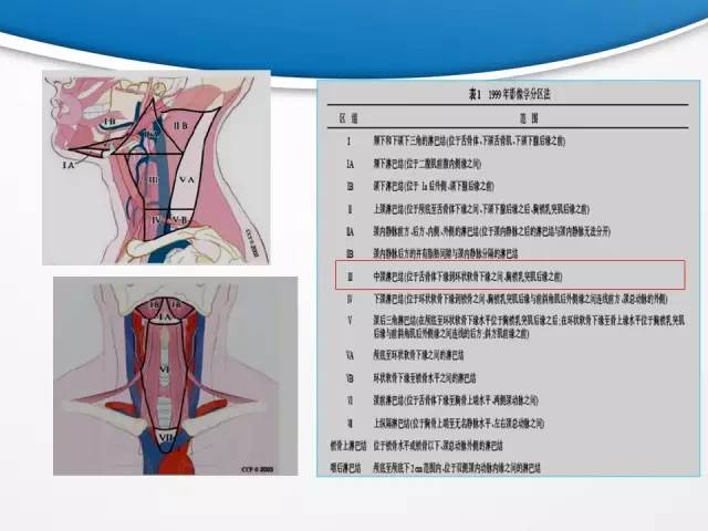 【PPT】颈部淋巴结分区