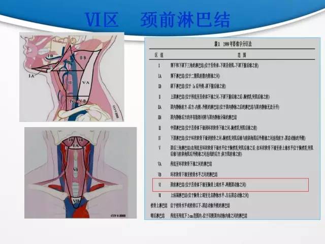 【PPT】颈部淋巴结分区