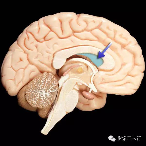 自动草稿 自动草稿