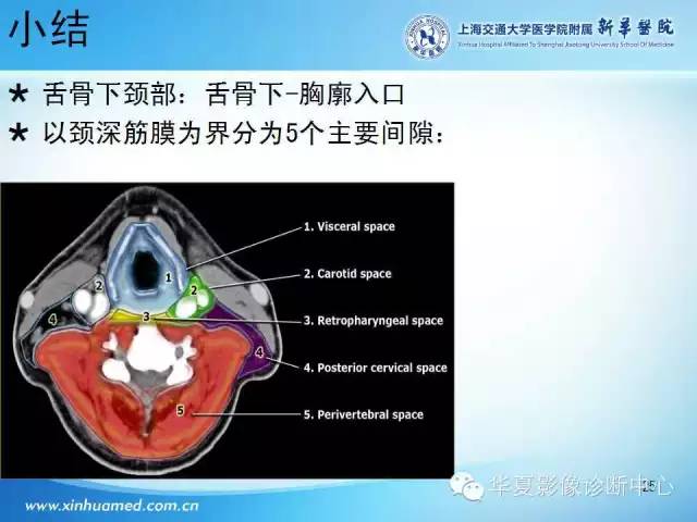 【PPT】颈部常见病变影像学诊断与鉴别