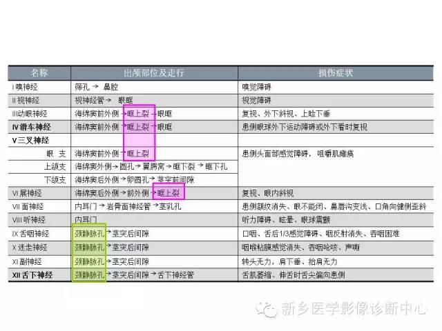 鼻咽部的详细解剖（含各个孔道）