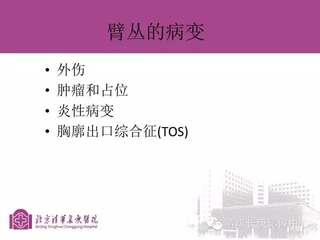 【PPT】臂丛的MR成像