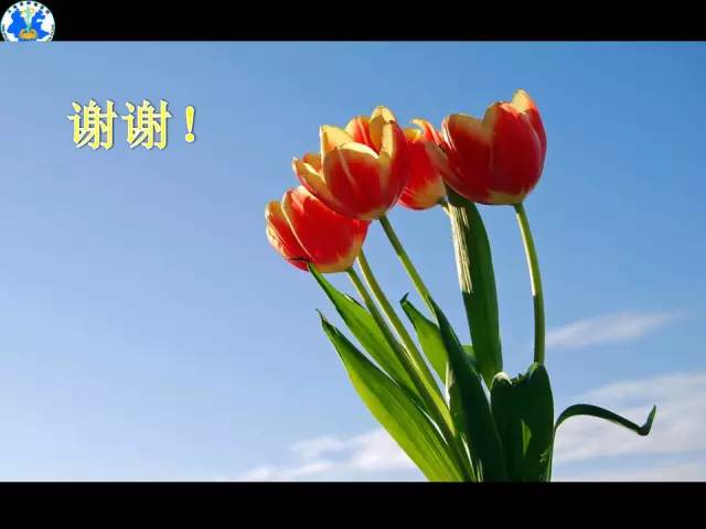 【PPT】脊柱退变性病变的分类及影像特征盘点