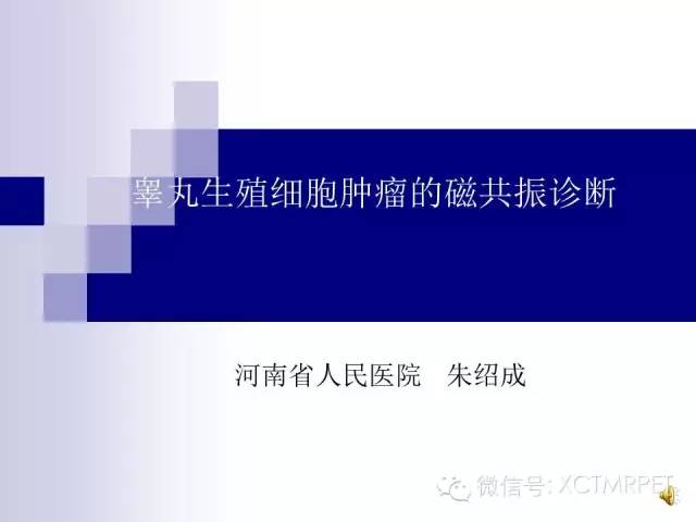 【PPT】睾丸生殖细胞肿瘤的磁共振诊断