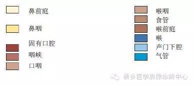 颈部失状位解剖+详细标注
