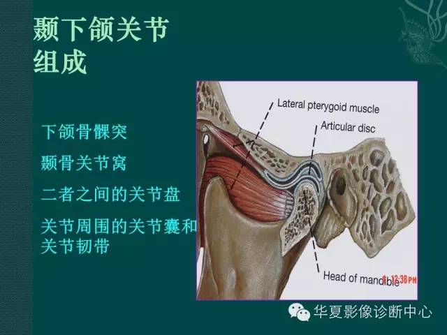 【PPT】颞下颌关节紊乱病