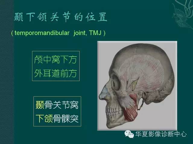 【PPT】颞下颌关节紊乱病