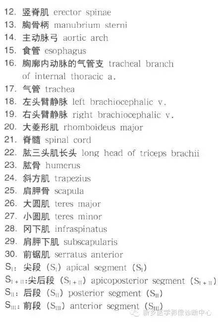 胸部横断位解剖+详细标注