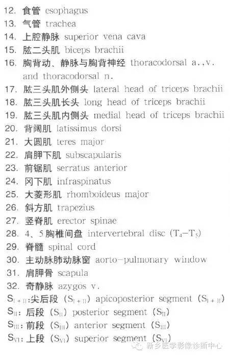 胸部横断位解剖+详细标注