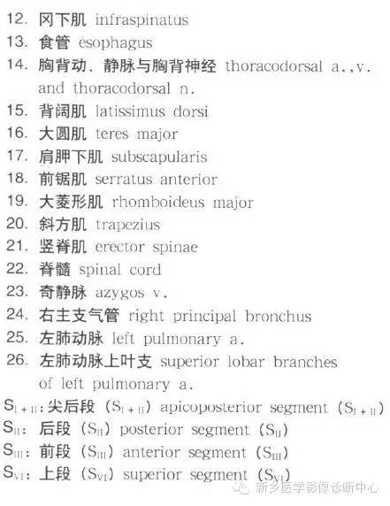 胸部横断位解剖+详细标注