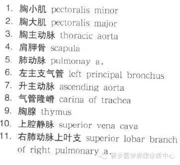 胸部横断位解剖+详细标注