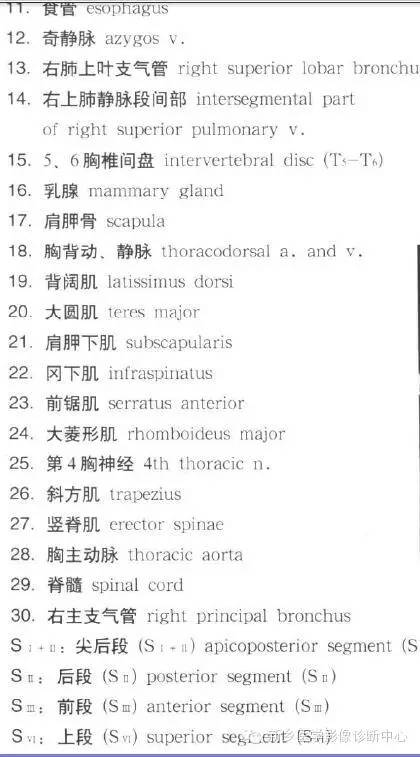胸部横断位解剖+详细标注