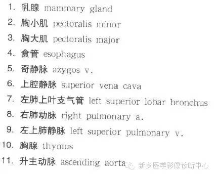 胸部横断位解剖+详细标注
