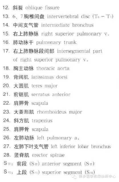 胸部横断位解剖+详细标注