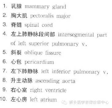 胸部横断位解剖+详细标注