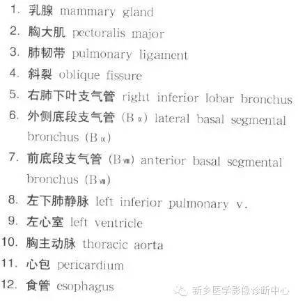 胸部横断位解剖+详细标注