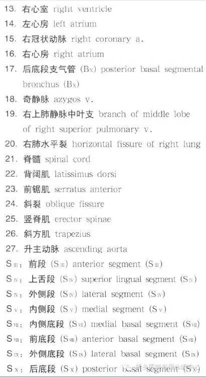 胸部横断位解剖+详细标注