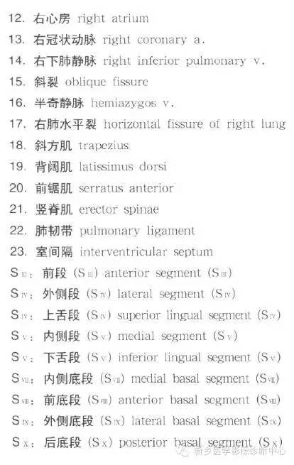 胸部横断位解剖+详细标注