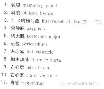 胸部横断位解剖+详细标注