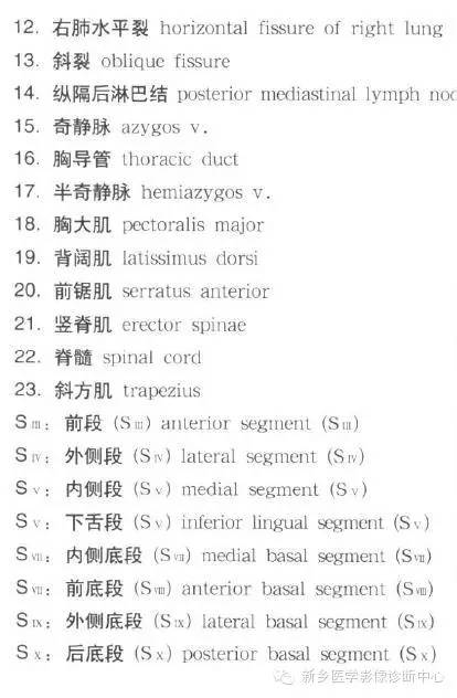 胸部横断位解剖+详细标注