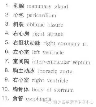 胸部横断位解剖+详细标注