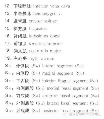 胸部横断位解剖+详细标注