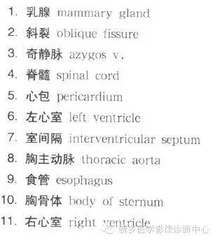 胸部横断位解剖+详细标注
