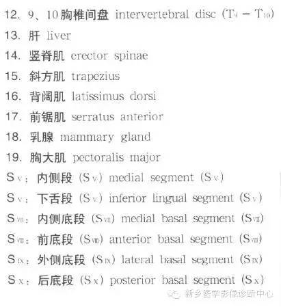 胸部横断位解剖+详细标注