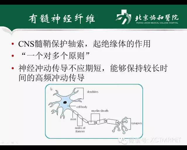 【PPT】炎性脱髓鞘疾病的MR诊断