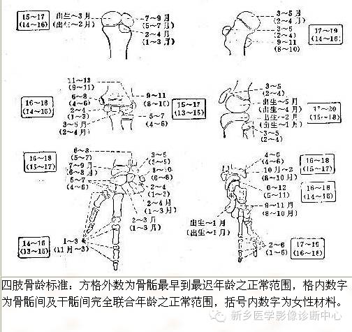 全身常见部位X线详细解剖+标注