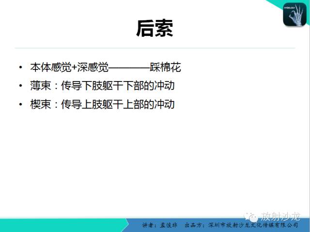 【PPT】脊髓亚急性联合变性