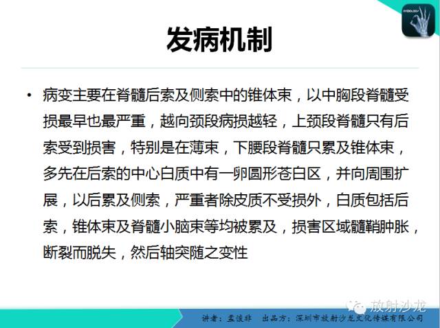 【PPT】脊髓亚急性联合变性