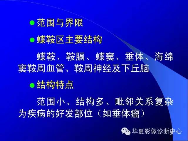 蝶鞍-脑室-脑池（高清+详细标注）