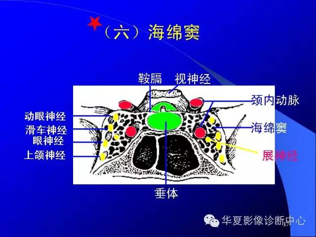 蝶鞍-脑室-脑池（高清+详细标注）