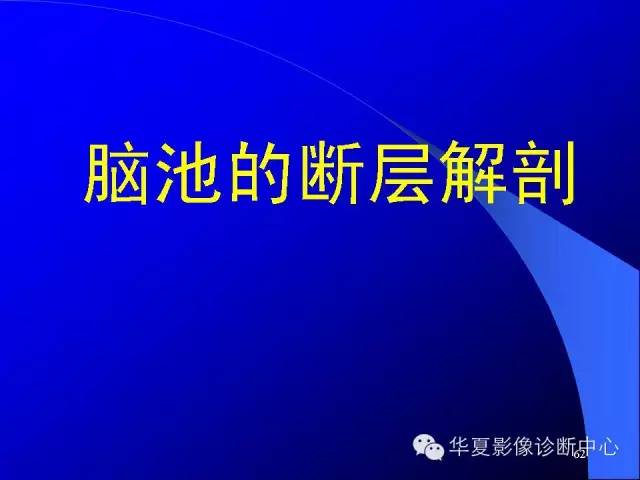 蝶鞍-脑室-脑池（高清+详细标注）