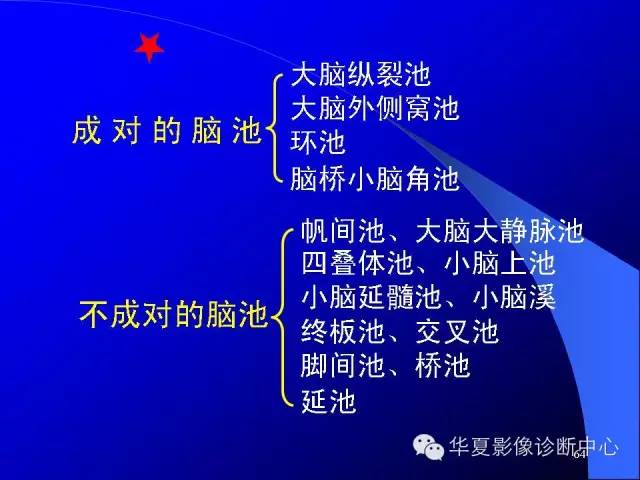 蝶鞍-脑室-脑池（高清+详细标注）