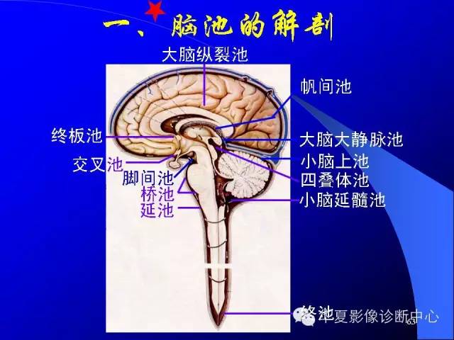 蝶鞍-脑室-脑池（高清+详细标注）