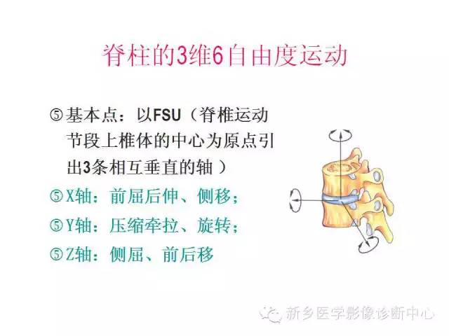 脊柱骨折分型 脊柱骨折分型