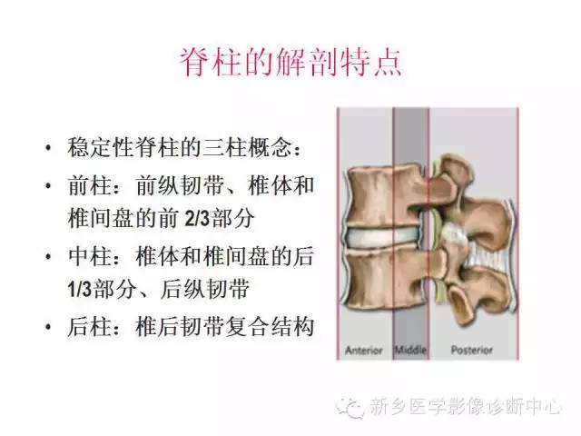 脊柱骨折分型 脊柱骨折分型