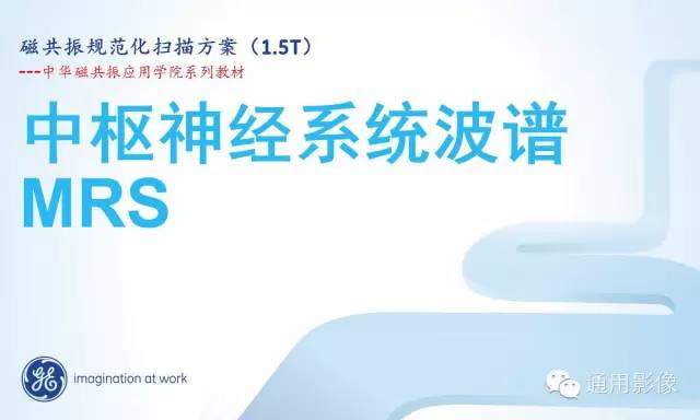 中枢神经系统波谱MRS