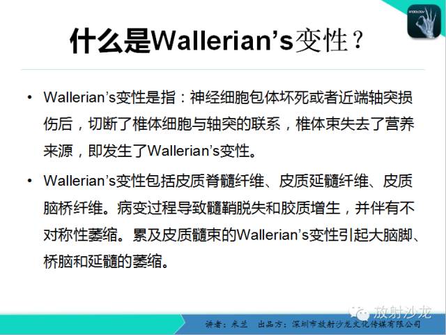 【PPT】Wallerian’s—华勒氏变性