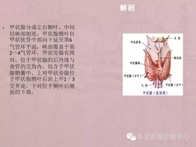 【PPT】甲状腺疾病CT简述